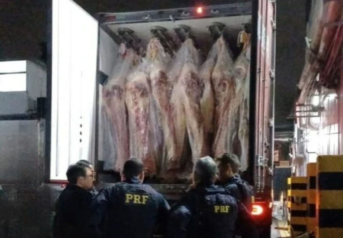 Carga de carne esconde 400 kg de maconha e caminhoneiro é preso na BR-262