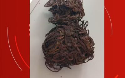 Homem é preso após furtar fios de cobre de loja no Centro de Governador Valadares