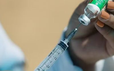  No radar da ciência: os vírus que podem provocar novas epidemias em 2026