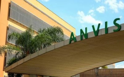 Anvisa desmente Trump sobre paracetamol e autismo