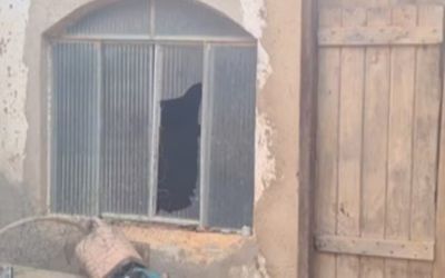 Mulher é presa por invadir casa de idoso, ameaçá‑lo de morte e agredi‑lo em Bom Jesus do Galho