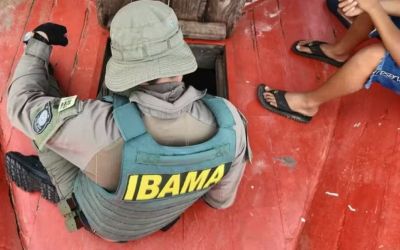 Ibama e Incra abrem seleção temporária com 60 vagas e salários de até R$ 9,8 mil