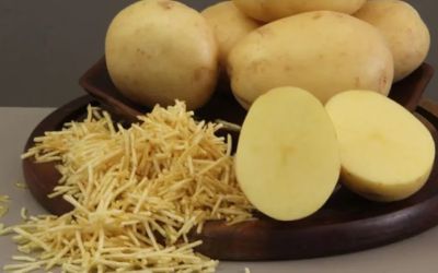 Embrapa lança batata ‘Braschips’ para impulsionar indústria de chips e batata-palha