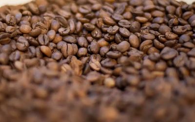 Governo manda recolher 23 lotes de café por risco à saúde; veja quais são