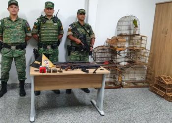 PM Ambiental encontra aves em gaiolas na varanda e apreende armas e munições em Itambacuri