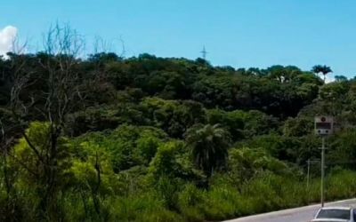 Minas terá 1,3 mil radares inteligentes para reforçar fiscalização nas rodovias