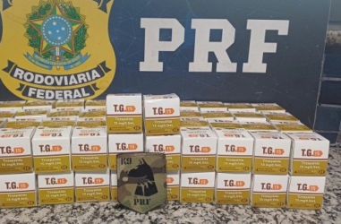PRF prende jovem com 328 ampolas de medicamento para emagrecimento na BR-381, em MG