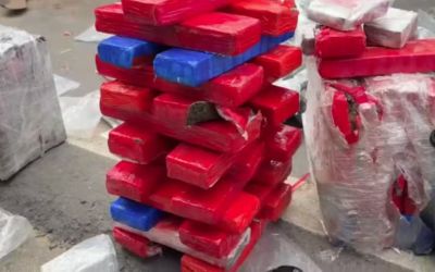  Motorista que transportava mais de 200 quilos de drogas em carro foge de fiscalização e bate em caminhão na BR-116