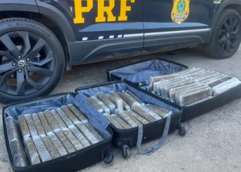 PRF apreende malas com 50 kg de maconha em ônibus na BR-116, em Manhuaçu