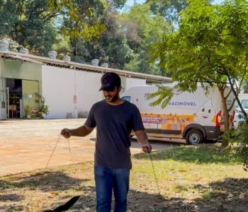 Projeto busca voluntários para passear com cães abrigados no Centro de Zoonoses de Ipatinga