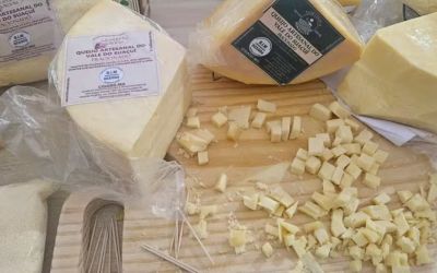 Queijarias do Leste e Nordeste do estado participam de festival que reúne produtores de 14 regiões em BH