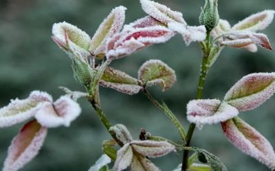 Inmet alerta para frio intenso em 167 cidades de Minas Gerais