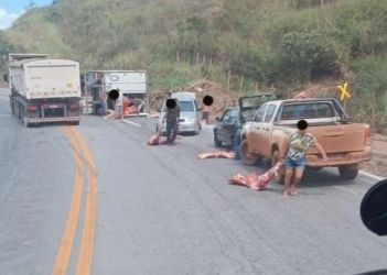 Caminhão carregado de carne tomba na BR-381 e carga é saqueada por populares