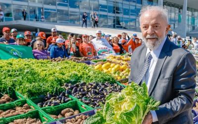  Plano Safra da Agricultura Familiar destina R$ 78,2 bi a pequenos produtores