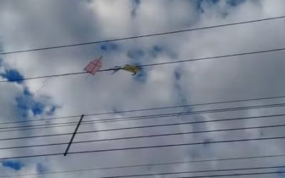  Homem morre eletrocutado ao tentar retirar pipa de rede elétrica em Periquito