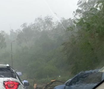 Árvore cai e interdita trânsito no Morro da Usipa após forte chuva