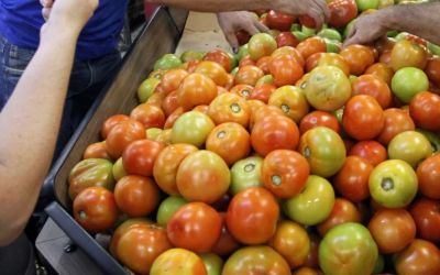  Preço dos alimentos segue em queda, apesar de alta em alguns produtos