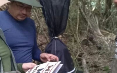 Parque Estadual do Rio Doce adota maior programa de monitoramento da biodiversidade da América Latina
