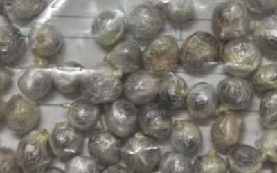  Detento em saída temporária passa mal após engolir 61 buchas de maconha em MG