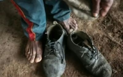 Governo atualiza ‘lista suja’ do trabalho escravo e inclui 169 novos empregadores