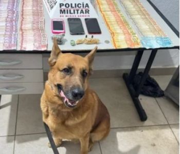 Sete pessoas são presas em operação policial em bar de Ipatinga