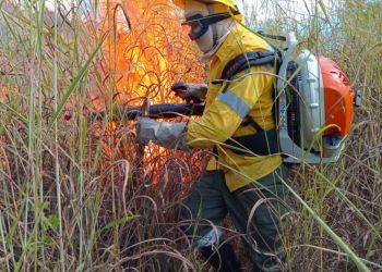 Brigada Florestal promove pedágio solidário para nova base em Nova Era