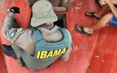 Ibama emite alerta sobre golpes com falsos concursos e taxas via PIX