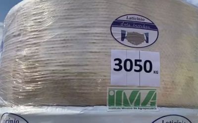 Maior queijo do mundo: com mais de três toneladas, Ipanema mantém o recorde em MG