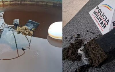 Morador estranha água verde saindo da torneira e encontra maconha dentro de caixa d'água em MG