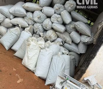  Uma tonelada de maconha é apreendida após descoberta de plantações no Vale do Jequitinhonha