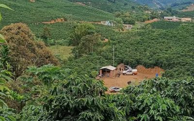 Homem é encontrado carbonizado em lavoura de café em São Domingos das Dores