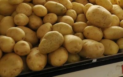 Cesta básica no Vale do Paraíba permanece estável em novembro, aponta Unitau