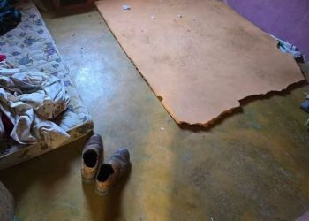 Cinco são resgatados de trabalho análogo à escravidão em cafezal de MG