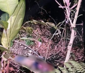 Corpo é encontrado em lote vago em Timóteo