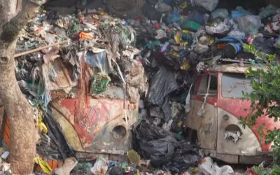 Catadora de recicláveis ganha ajuda para retirar toneladas de lixo que acumulou em casa durante 20 anos; veja antes e depois