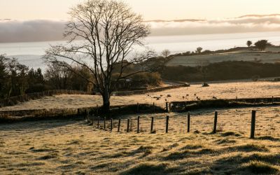 Massa de ar polar derruba temperaturas em Minas a partir desta sexta; BH pode ter mínima perto de 14°C