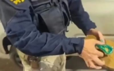 PRF prende motorista após achar crack, cocaína e maconha em carro na BR-381