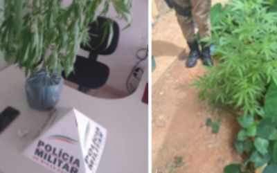  Adolescente de 14 anos agride mãe e é apreendido com drogas em Jaguaraçu