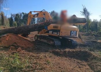 Jequitibá de 20 metros cai em cima de trator e mata homem no interior de MG