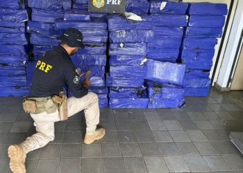 PRF apreende 1,8 tonelada de maconha escondida em carga de polvilho na BR-262, em MG