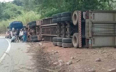 Carreta carregada com gado tomba na estrada entre Rio Casca e Abre Campo e deixa animais mortos