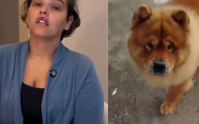 Mulher tem lábio arrancado por cachorro e passa por cirurgia gratuita de reconstrução