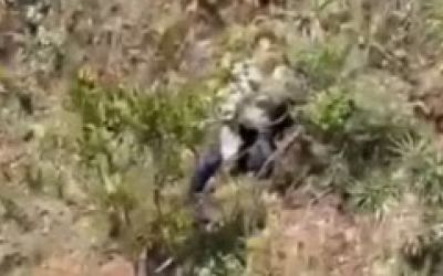 Mulher desaparecida é encontrada viva em penhasco na Serra do Rola-Moça; suspeito é preso