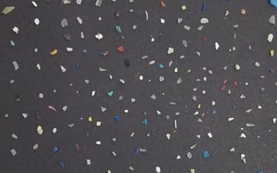 Microplásticos podem contribuir para Alzheimer, Parkinson e outras lesões cerebrais, aponta estudo