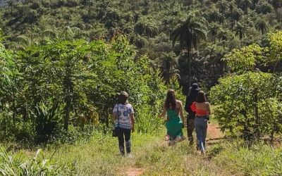 Fazendas de Brumadinho recebem circuito de turismo rural com vivências nas férias