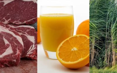 Governo busca novos mercados para o agro após alta de tarifa dos EUA