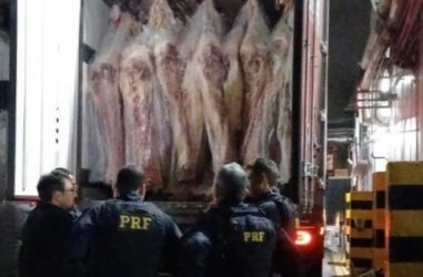 Carga de carne esconde 400 kg de maconha e caminhoneiro é preso na BR-262